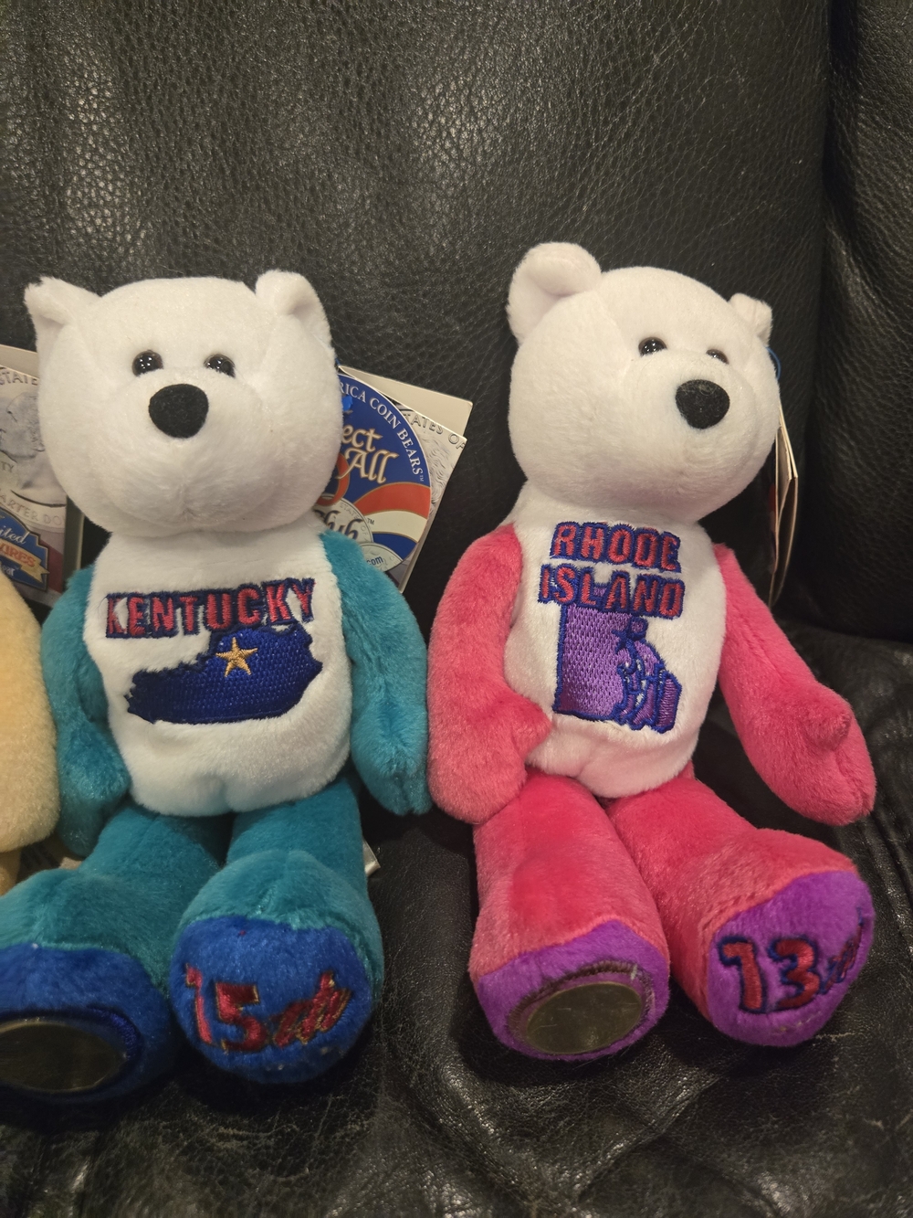 Limited Edition State Quarter Coin Bears – Collectible Plush- Like New - Picture 10 of 12